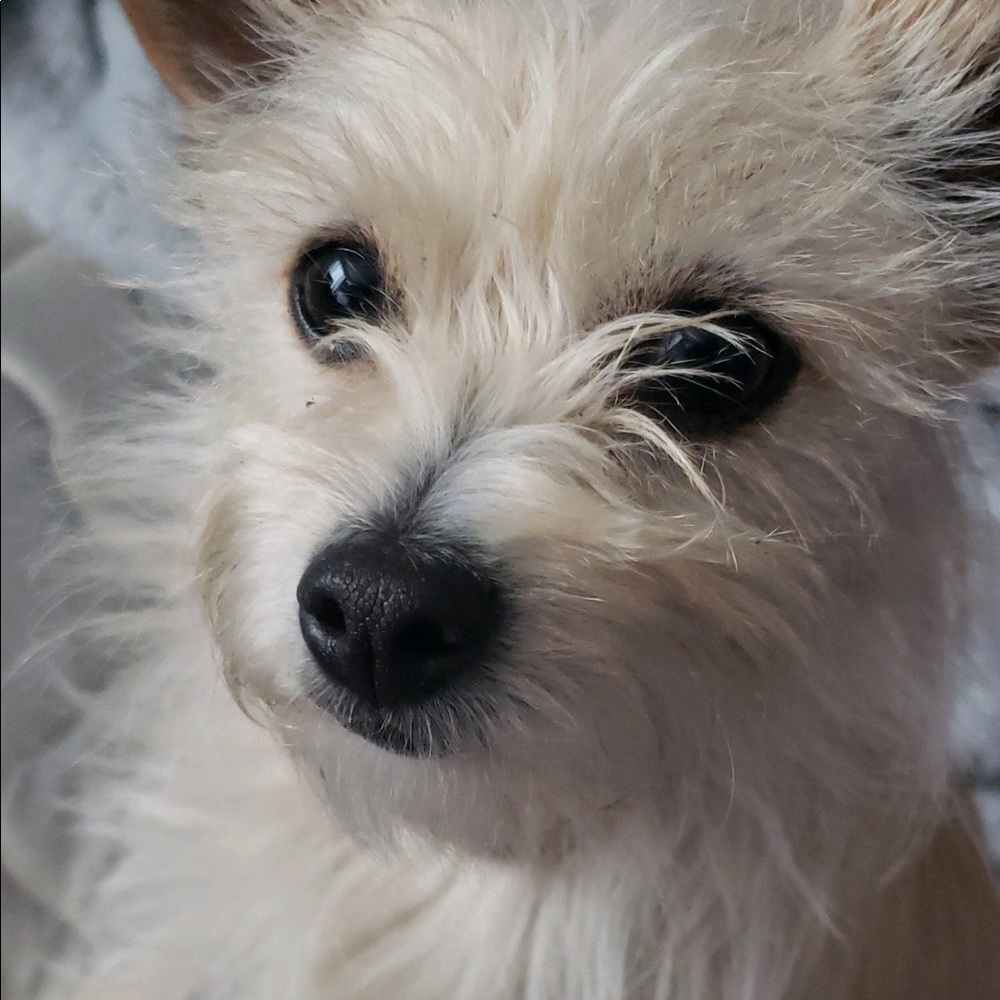 Meet your Posher, Alexis